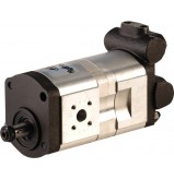 product Case Tractor Pump - 3401189R93 thumb