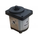 product Hydraulic Gear Pump - 20C8.2X021  thumb
