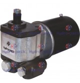 product Massey Ferguson Hydraulic Pump 3409523m91 MF 296 MF296/4 thumb